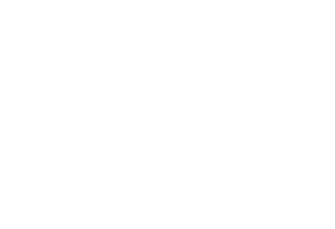 The Punk Monkey